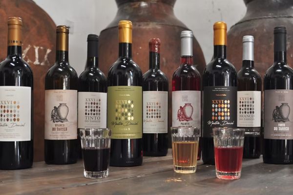 XXVI Talhas - vina